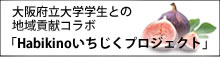 大阪府立大学学生との地域貢献コラボ「Habikinoいちじくプロジェクト」