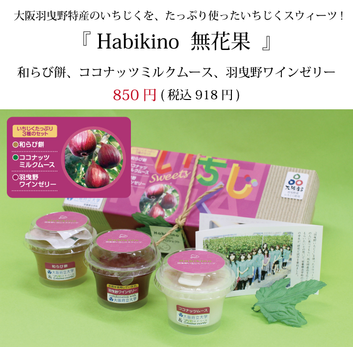 Habikino 無花果